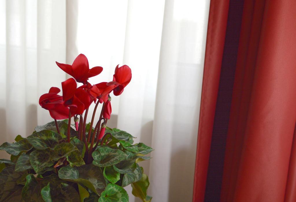 Camere Delfini Palmanova Ngoại thất bức ảnh